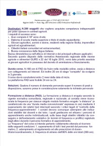 Volantino Capo Azienda 3
